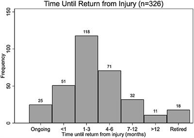 Internet Survey Evaluation of Iliopsoas Injury in Dogs Participating in Agility Competitions